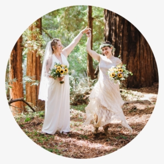 Reviews - Bride #9008007