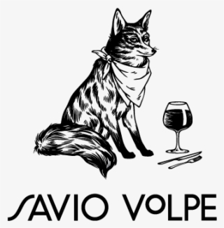 Saviovolpe - Cartoon #9008582
