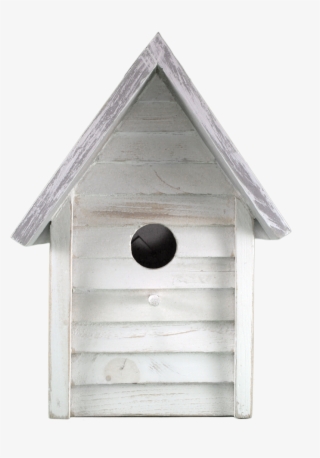 Shed #9010024