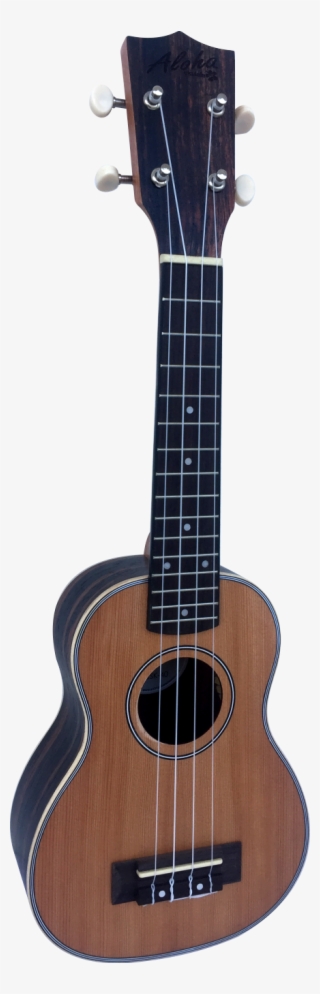 Nueva Línea - Acoustic Guitar #9012047