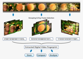 And Granularity Of Fingerprints To Match Specific Use - Video Fingerprint #9013391
