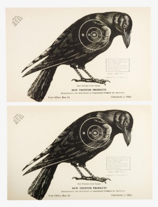 1960s Vintage Crow Raven Paper Targets - Target #9013864