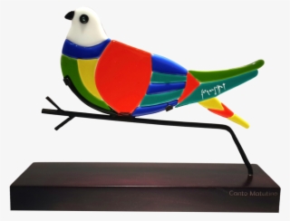 Shop Fused Glass - Parakeet #9014352