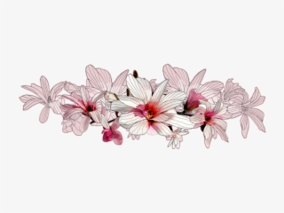Http - //www - Murando - 1 - Png - V Magnolia - Ramo - Cherry Blossom #9014426