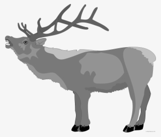 Christmas Reindeer Clipart - Christmas Deers Black And White #9014902