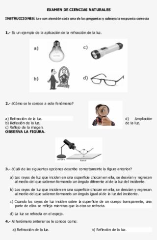 Docx - Document #9016763