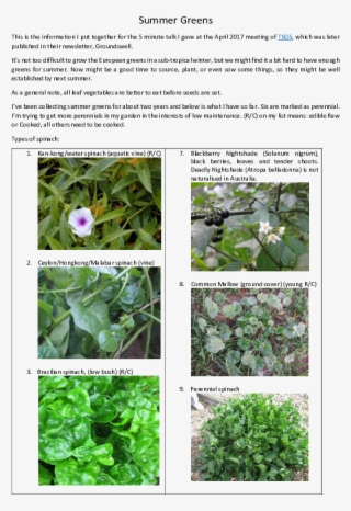 Pdf - Common Mallow #9016794