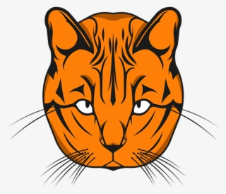 All About Cats #9017966