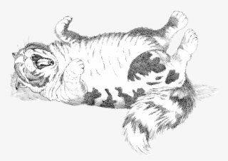 Allister - Sketch #9018058