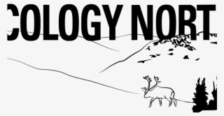 Canadian Nobel Prize Nominee Visits Yellowknife - White-tailed Deer #9018387