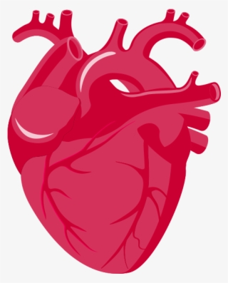 Rate Clipart Heart Failure - Insuficiencia Cardiaca Png #9019192