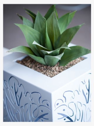 Metallic Botanics Monstera - Agave #9020003