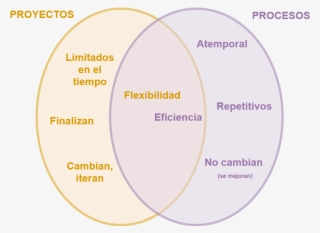 Conjunto Resultante Proyecto Vs Proceso - Alay #9020680