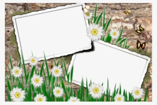 Moldura Para Fotos Flores - Molduras Para Fotos Online #9021480