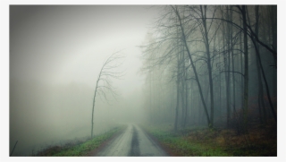 Score 50% - Dirt Road #9022811