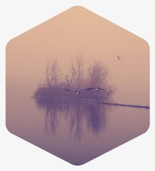 Sign Up To Join The Conversation - Reflection #9022851