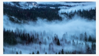 Обои На Телефон Природа #9022897