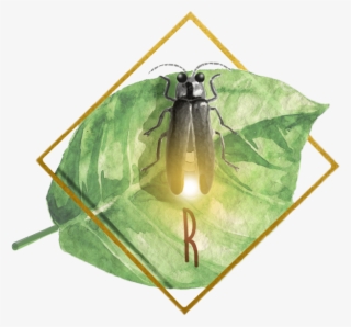 Logo - Fly #9024724