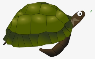 Forest Clipart Turtle - Sea Turtle Clip Art #9025061