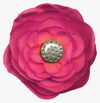 Find This Pin And More On Flowers And Buttons By Missy4b - Japanese Camellia #9025787