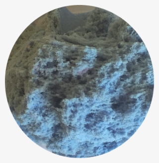 Img 9515 Small - Circle #9026886