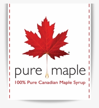 Pure Maple Logo - Goblin Kdrama Art #9027562