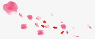 Falling Pink Petals Transpa Png Clipart Free Ya - Mid-autumn Festival #9028345