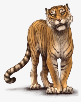 Siberian Tiger #9028666