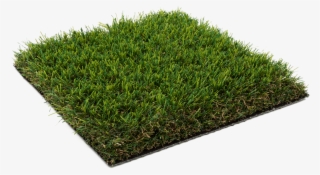 Diamond Creek - File Artificial Grass Png #9028698