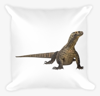 Komodo-dragon Print Square Pillow - Komodo Dragon #9029869
