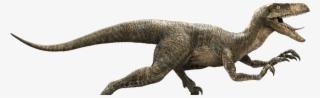 Jurassic World Dinosaurs Png #9029987