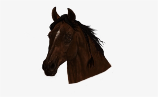 Horse Head Png - Sorrel #9029990