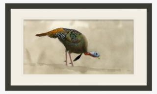 Feeding Tom Original Watercolor Painting - Picture Frame #9032257