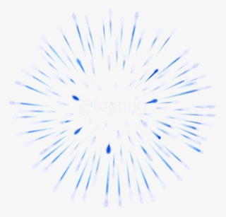Free Png Firework Blue White Transparent Png Images - Red Fireworks Transparent Background Png #9032343