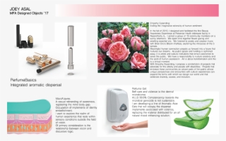 Some Design Notions, 2016, Variable - Chinese Peony #9034361 Some Design Notions, 2016, Variable - Chinese Peony #9034361