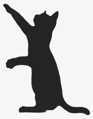 Download Hissing Black Cat Silhouette Pictures