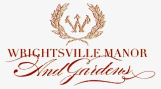 Tying The Knot At - Calligraphy #9036971