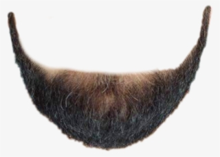 Beard Png For Picsart #9037022