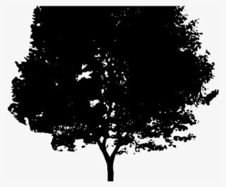 Shrub Clipart Thorn Bush - Дерево Силуэт Пнг #9038430