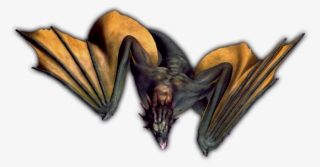 24 Mar 2009 - Cryptid #9039355