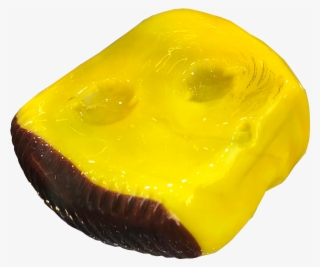 Glass Sponge - Gelatin Dessert #9039791