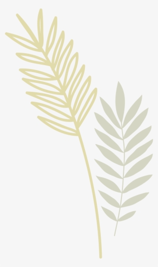 Fern Vector Kiwi - Illustration #9039989