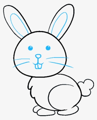 678 X 600 25 - Bunny Drawing #9040261