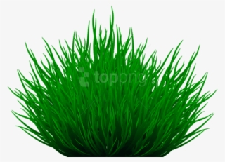 Free Png Download Grass Path Png Images Background - Illustration #9040713