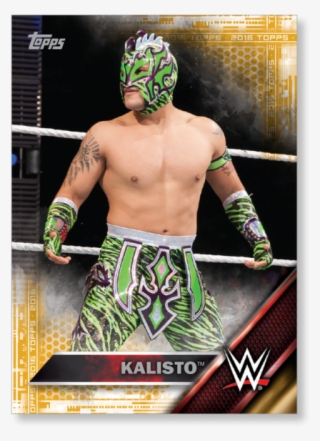 Gallery - Lucha Libre #9042206