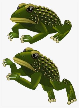 Frog - Frog 2d Png #9043704
