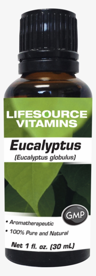Eucalyptus Oil 1 Fl Oz - Saw Palmetto #9043745