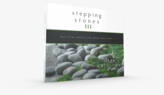Stepping Stones Iii - Igneous Rock #9044498