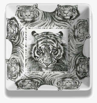 Bengal Tiger #9046969