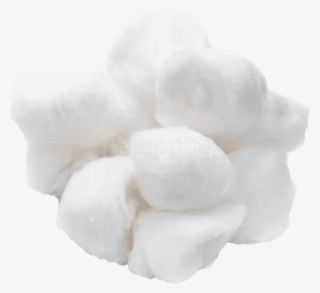 Free Png Cotton Ball Png Images Transparent - Tremella #9048141